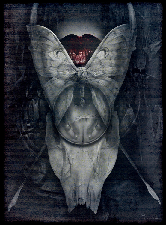 Alternative vision 1160747841 i 8603 full